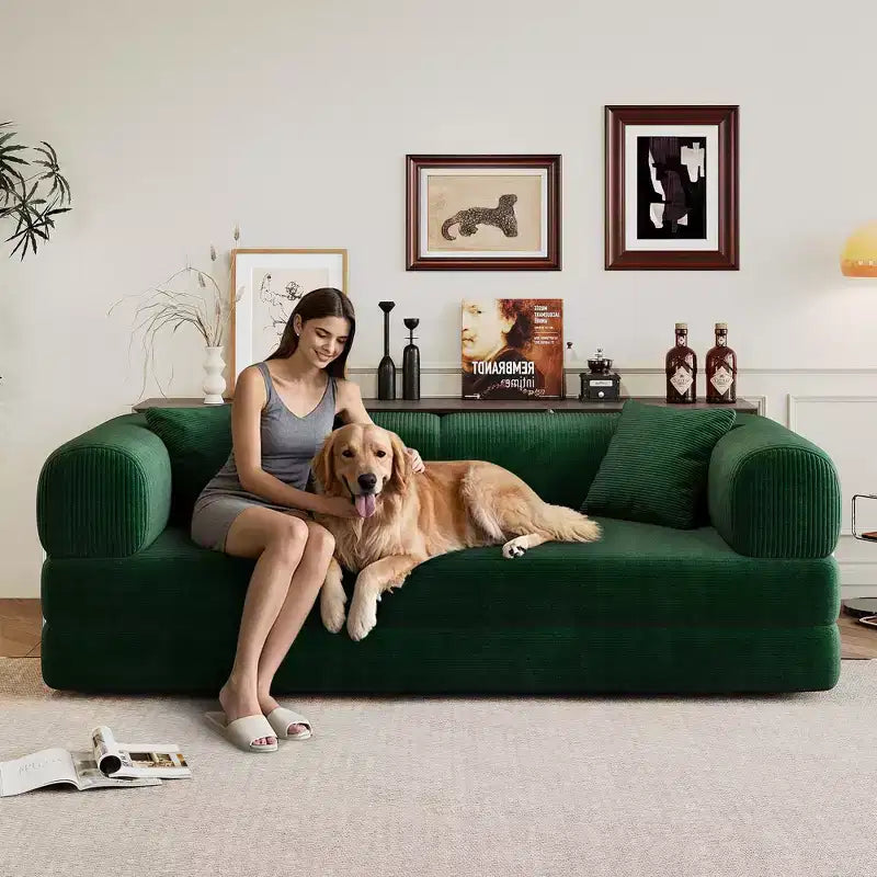 Divano Letto Moderno Trasformabile con Estraibile, Divano Imbottito a Seduta Profonda per Soggiorno, Camera degli Ospiti o Appartamento